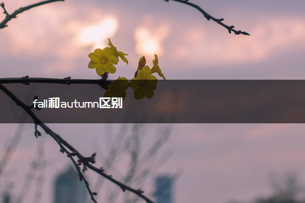 fall和autumn区别