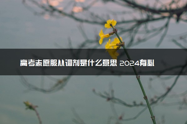 高考志愿服从调剂是什么意思 2024有必要服从调剂吗