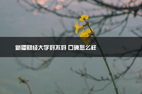 新疆财经大学好不好 口碑怎么样