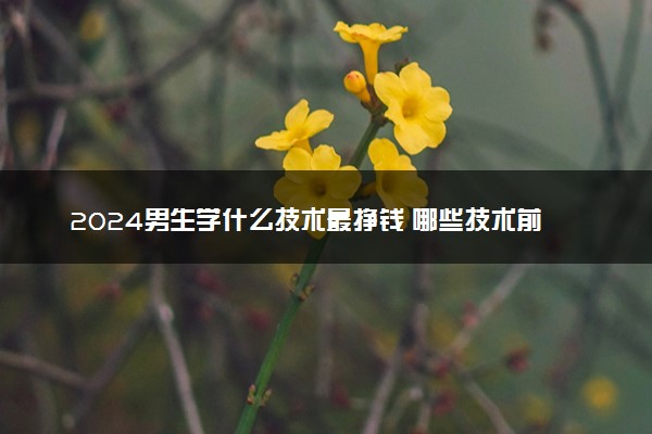 2024男生学什么技术最挣钱 哪些技术前景好