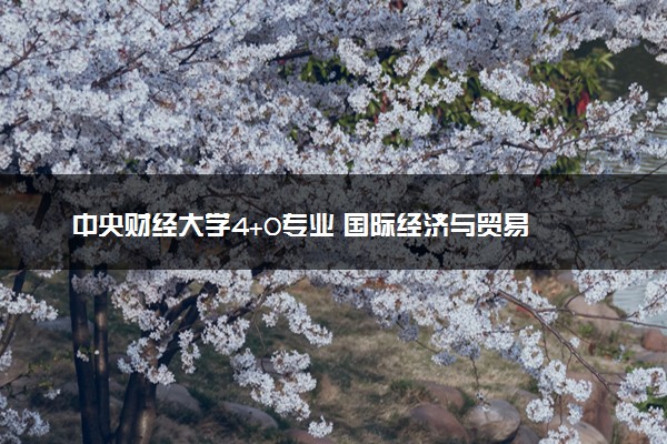中央财经大学4+0专业 国际经济与贸易
