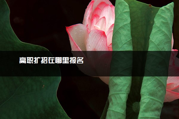 高职扩招在哪里报名