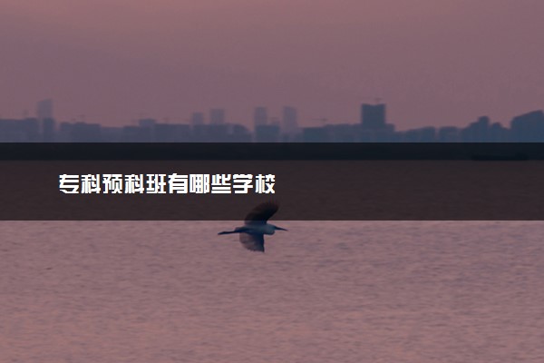 专科预科班有哪些学校