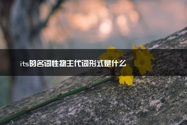 its的名词性物主代词形式是什么