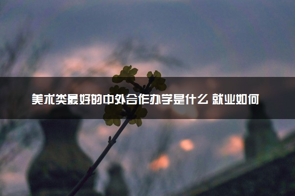 美术类最好的中外合作办学是什么 就业如何