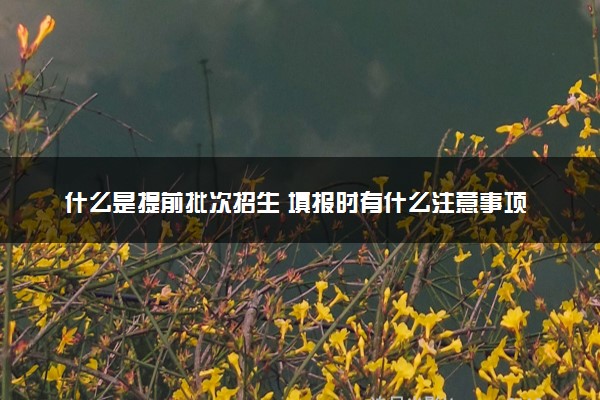 什么是提前批次招生 填报时有什么注意事项
