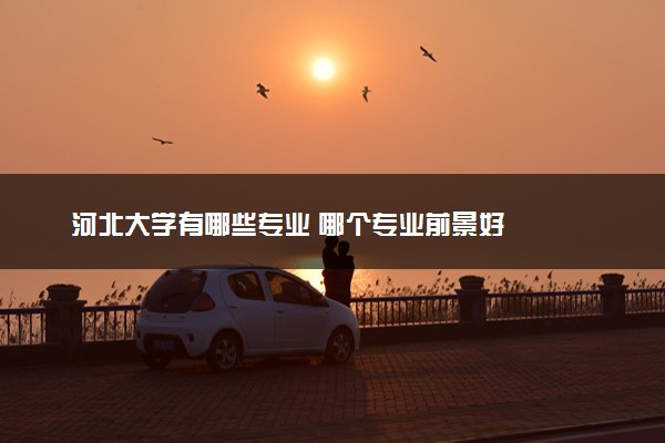 河北大学有哪些专业 哪个专业前景好