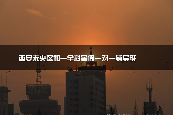 西安未央区初一全科暑假一对一辅导班