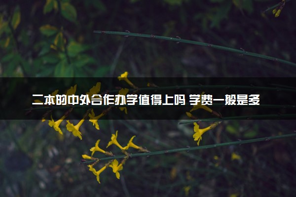 二本的中外合作办学值得上吗 学费一般是多少
