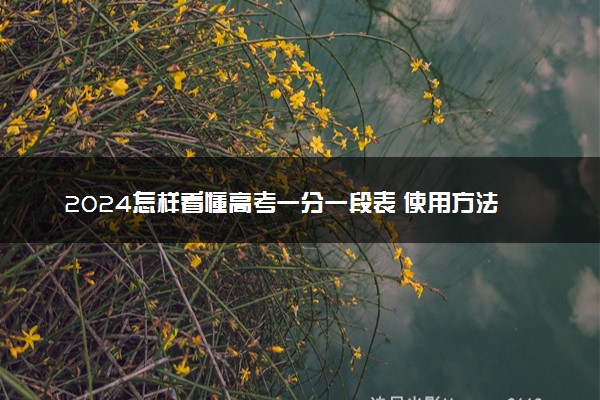 2024怎样看懂高考一分一段表 使用方法是什么