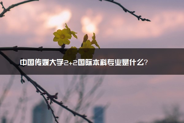 中国传媒大学2+2国际本科专业是什么？