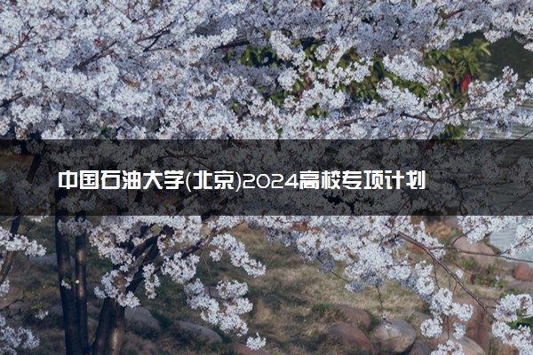中国石油大学（北京）2024高校专项计划招生简章 招生专业及计划