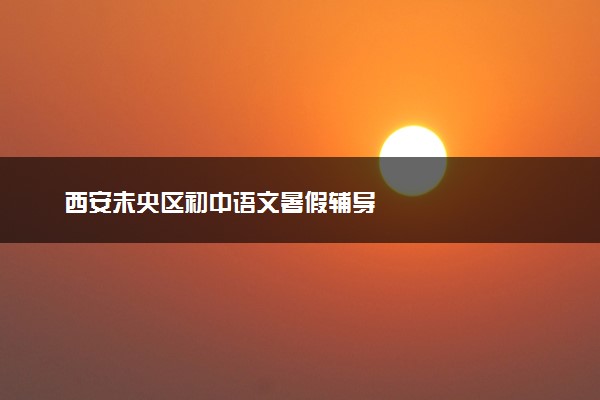 西安未央区初中语文暑假辅导