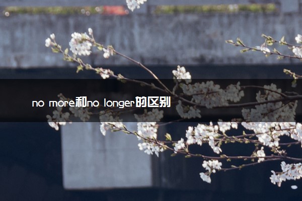 no more和no longer的区别