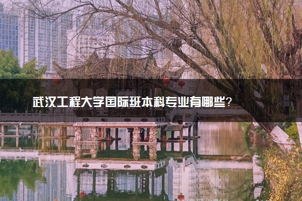 武汉工程大学国际班本科专业有哪些？