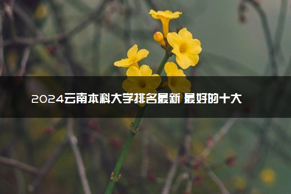 2024云南本科大学排名最新 最好的十大本科院校