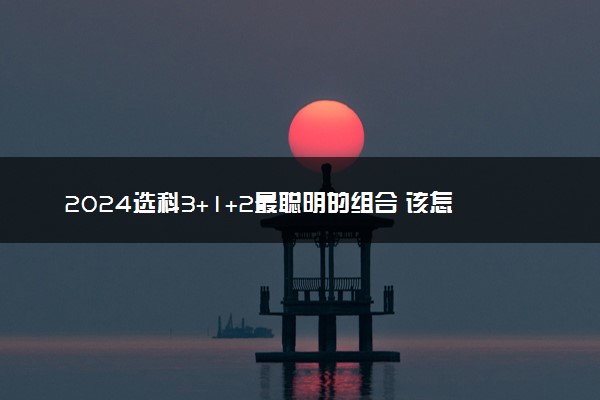 2024选科3+1+2最聪明的组合 该怎么选科