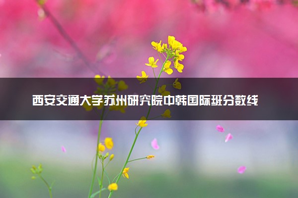 西安交通大学苏州研究院中韩国际班分数线