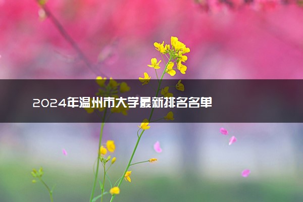 2024年温州市大学最新排名名单