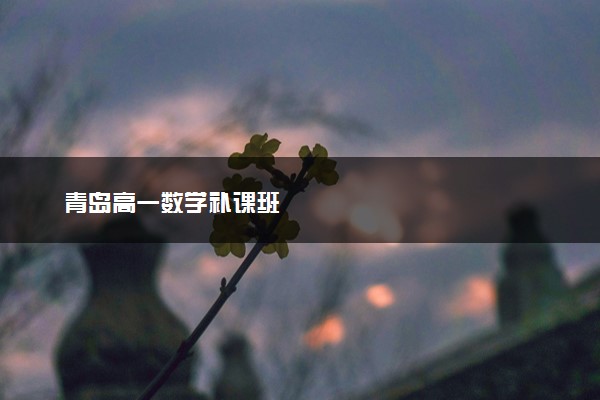 青岛高一数学补课班