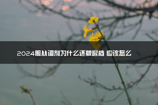 2024服从调剂为什么还被退档 应该怎么办