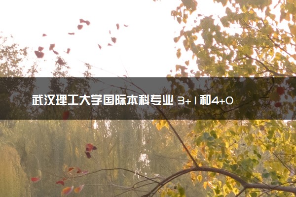 武汉理工大学国际本科专业 3+1和4+0