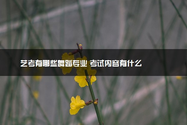 艺考有哪些舞蹈专业 考试内容有什么