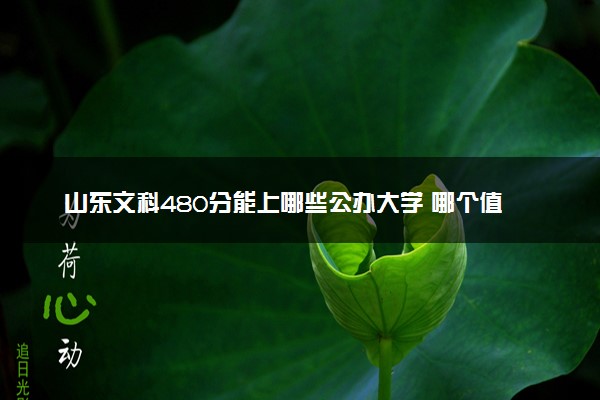 山东文科480分能上哪些公办大学 哪个值得推荐
