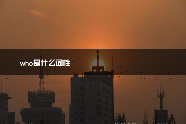 who是什么词性