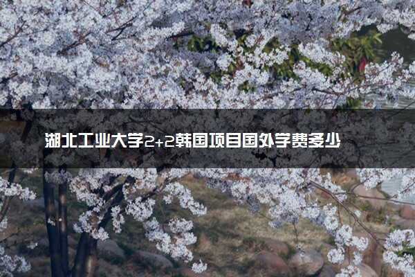 湖北工业大学2+2韩国项目国外学费多少