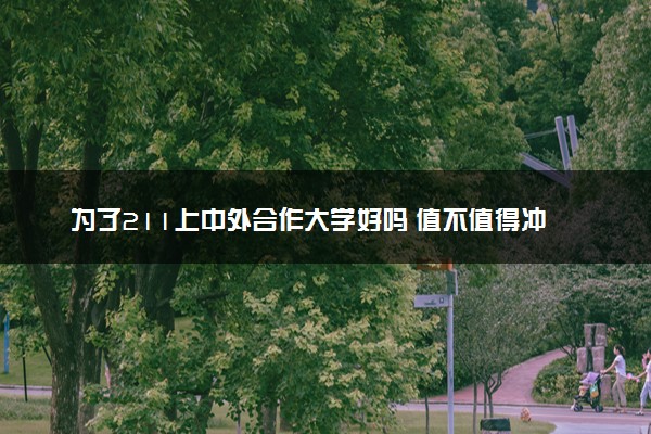 为了211上中外合作大学好吗 值不值得冲