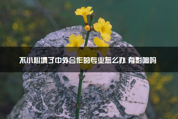 不小心填了中外合作的专业怎么办 有影响吗