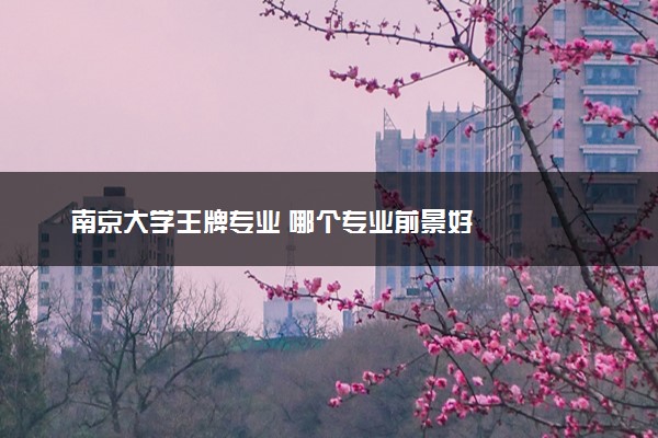 南京大学王牌专业 哪个专业前景好