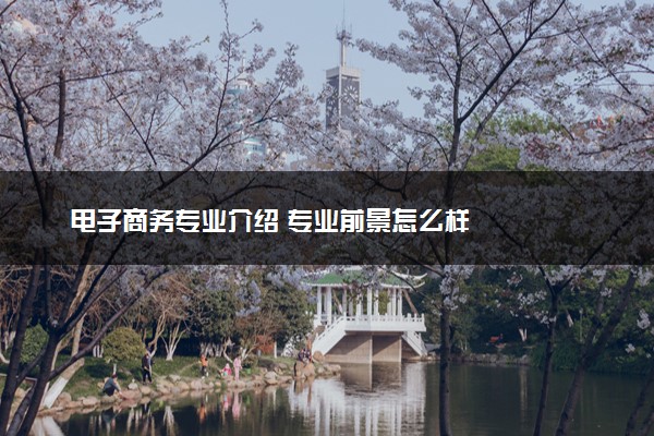 电子商务专业介绍 专业前景怎么样