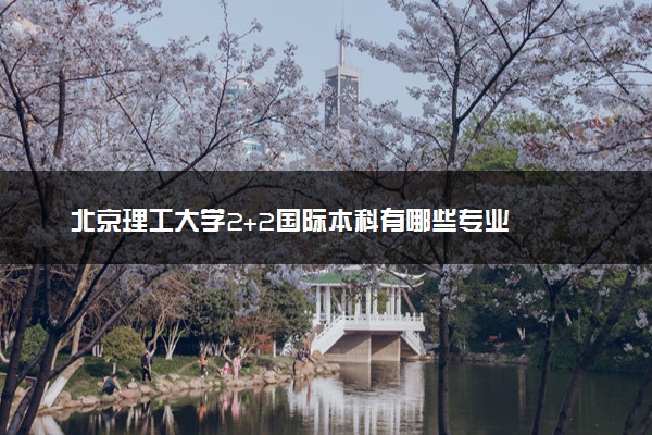 北京理工大学2+2国际本科有哪些专业