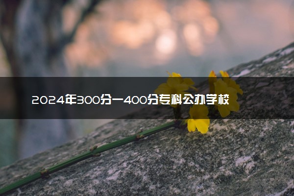 2024年300分一400分专科公办学校 能报哪些院校