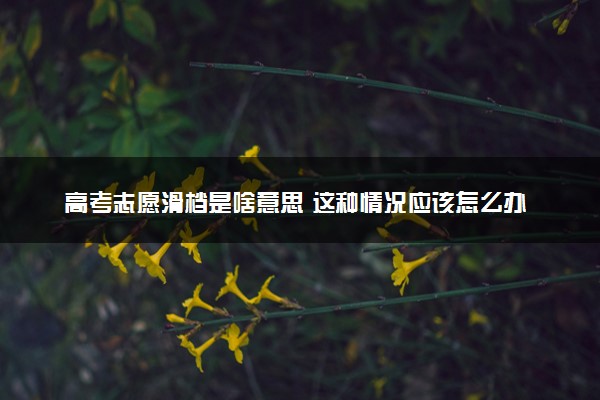 高考志愿滑档是啥意思 这种情况应该怎么办