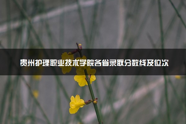 贵州护理职业技术学院各省录取分数线及位次 投档最低分是多少(2024年高考参考)