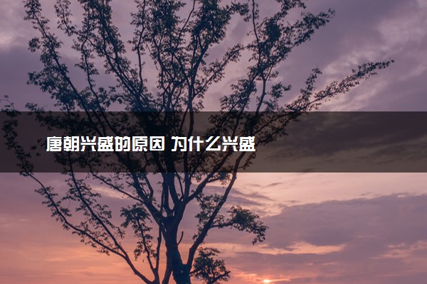 唐朝兴盛的原因 为什么兴盛
