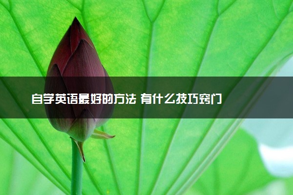 自学英语最好的方法 有什么技巧窍门