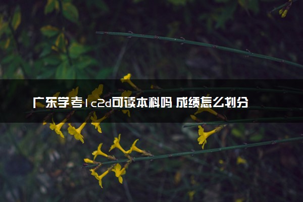 广东学考1c2d可读本科吗 成绩怎么划分