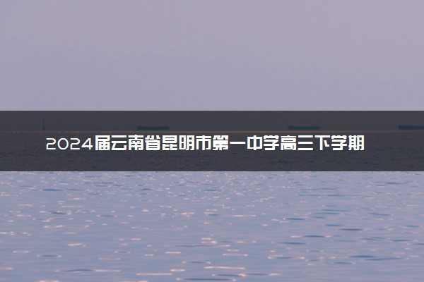 2024届云南省昆明市第一中学高三下学期第九次适应性训练数学答案