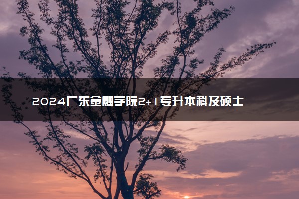 2024广东金融学院2+1专升本科及硕士项目与哪个国家合作