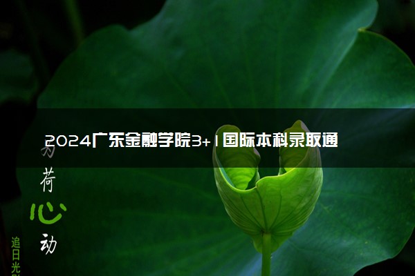 2024广东金融学院3+1国际本科录取通过率高吗 需要什么条件