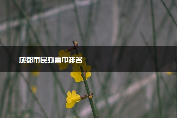 成都市民办高中排名
