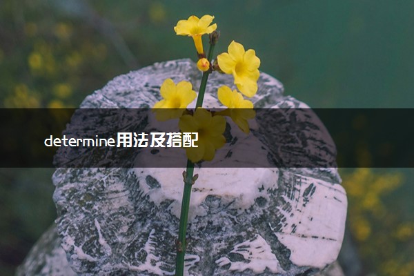 determine用法及搭配