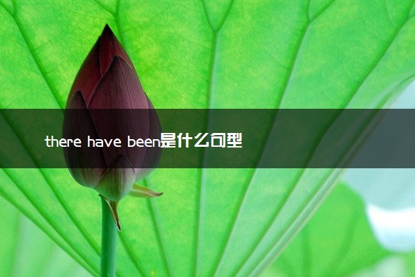there have been是什么句型