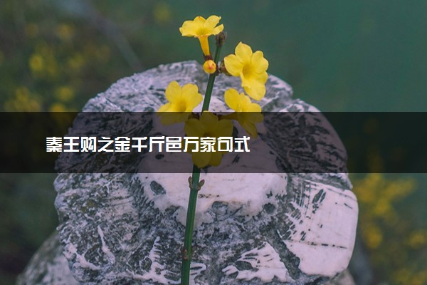 秦王购之金千斤邑万家句式