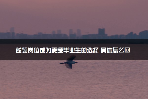 蓝领岗位成为更多毕业生的选择 具体怎么回事