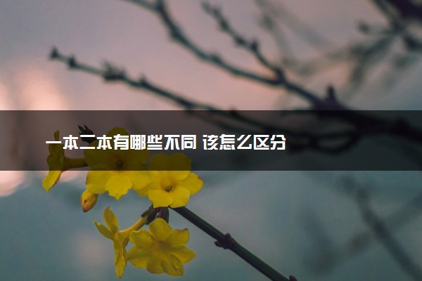 一本二本有哪些不同 该怎么区分
